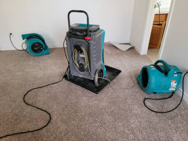 Best Basement water damage restoration  in Eldersburg, MD