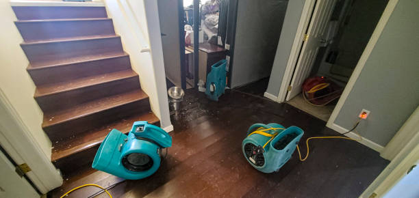 Best Flooded house restoration  in Eldersburg, MD