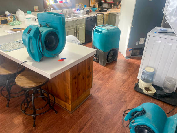 Best Ceiling water damage repair  in Eldersburg, MD