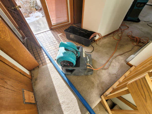 Best Residential water damage restoration  in Eldersburg, MD