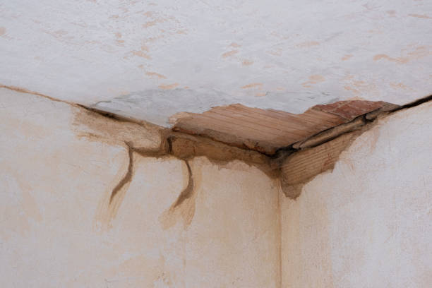 Best Water damage restoration near me  in Eldersburg, MD