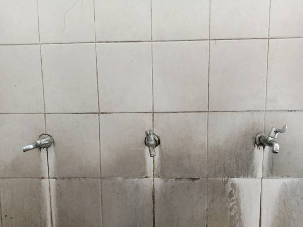 Best Basement water damage restoration  in Eldersburg, MD