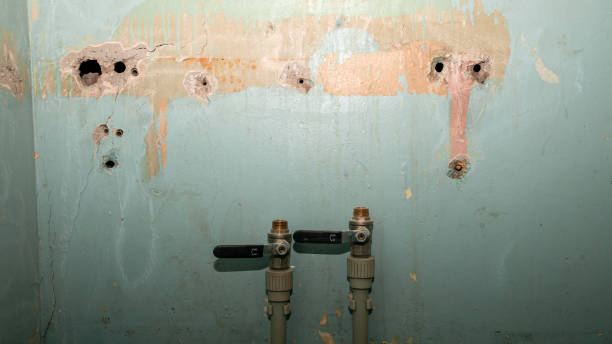 Best Water damage restoration insurance claims  in Eldersburg, MD