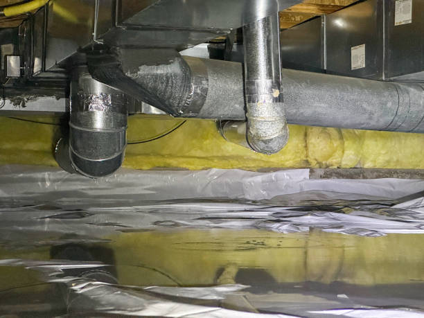 Best Carpet water damage restoration  in Eldersburg, MD