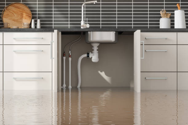 Best 24/7 water damage repair  in Eldersburg, MD