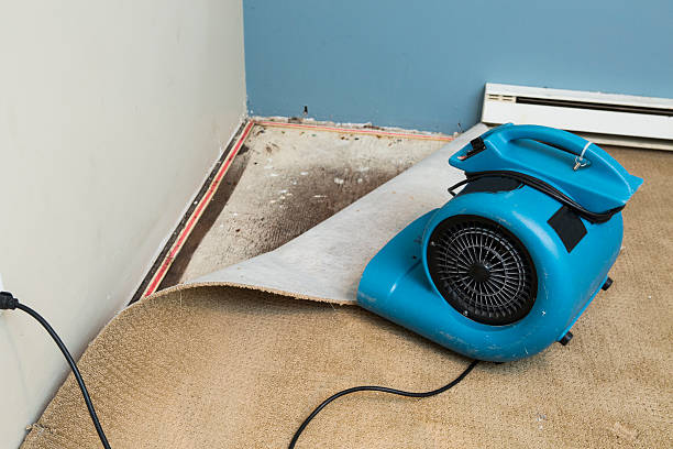Best Water damage contractors near me  in Eldersburg, MD